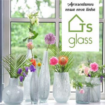 Lançamento - TS GLASS