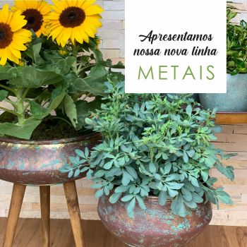 Lançamento - METAIS